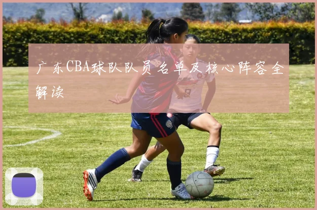 广东CBA球队队员名单及核心阵容全解读